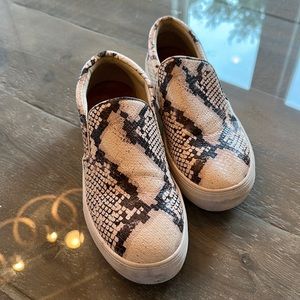 Steve Madden Gills sneaker in snakeskin